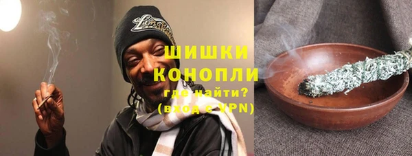 гидра Абаза