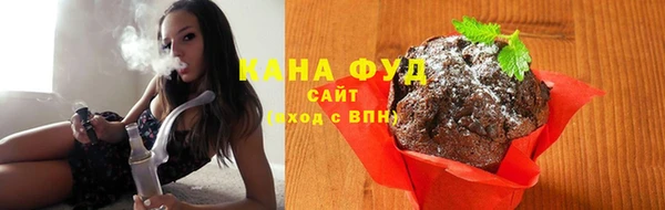гидра Абаза