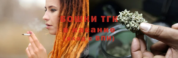 гидра Абаза
