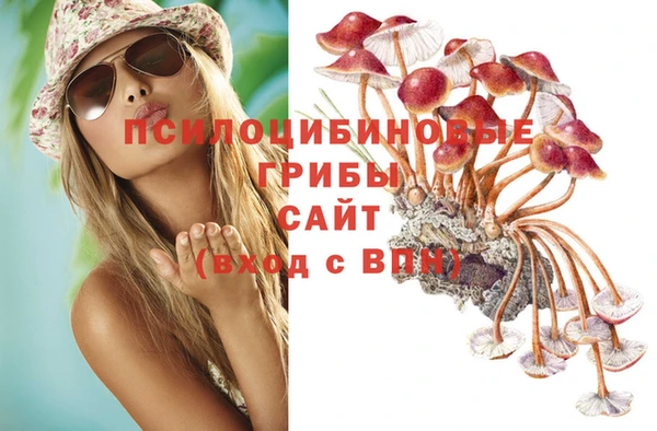 гидра Абаза