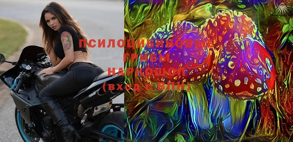 гидра Абаза